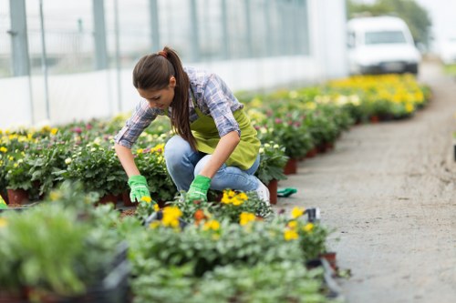 Accessible gardening services information for Rush Green