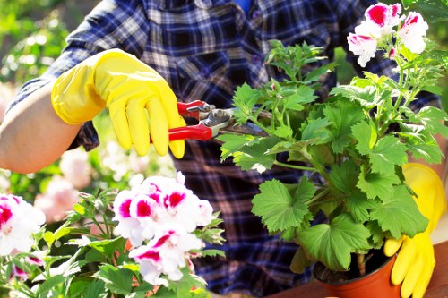 Gardening team providing local garden care in Rush Green