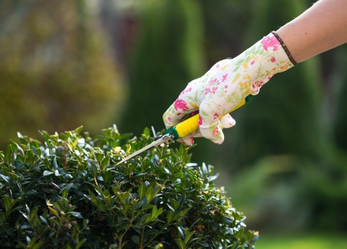 Seasonal lawn care work in a Rush Green garden