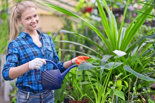 Complaint process for a gardening service in progress