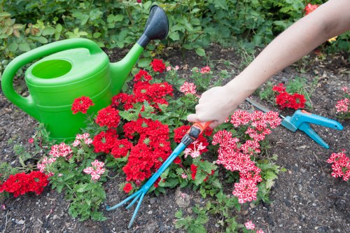 Lush green garden planting in the first section