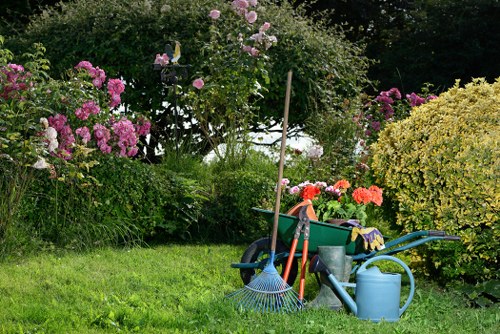 Professional gardening services in Rush Green for tidy lawns and borders