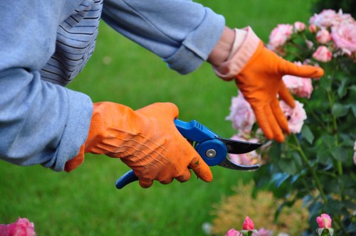 Garden maintenance work in Rush Green including trimming and weeding