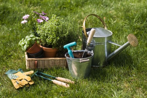 Cutting back shrubs and removing branches during garden clearance