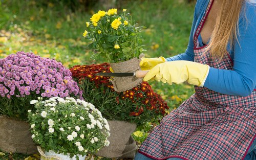 Governing law and final service conditions for garden work
