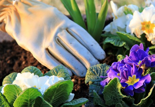 Soft landscaping with lawns, shrubs, and seasonal planting in Rush Green