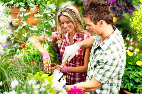 Seasonal pruning and border care by Rush Green gardeners