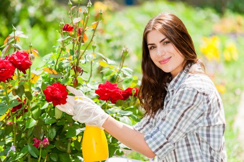 Seasonal hedge maintenance in Rush Green for tidy residential gardens