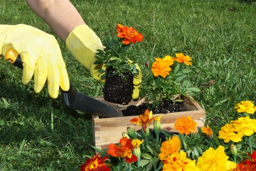 Screen-reader friendly gardening website content