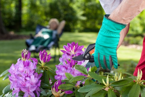 Rush Green gardening service focused on detail and long-term improvement