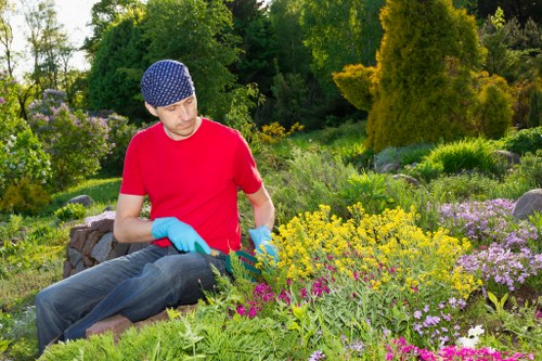 Midway garden scene with rich green plants and textures