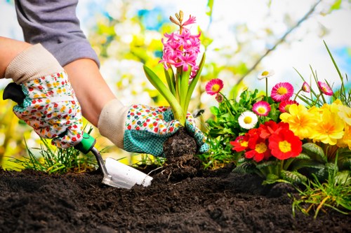 Hedge pruning and border maintenance in Rush Green