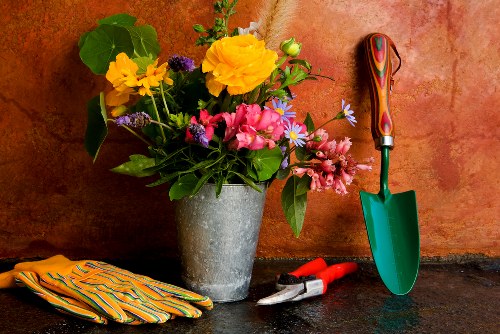 Free quote policy for Rush Green garden services