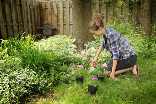 Garden waste and debris removal in Rush Green