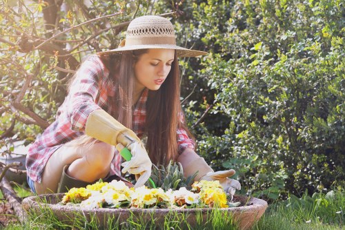 Lawn aeration and weed control for Rush Green homes