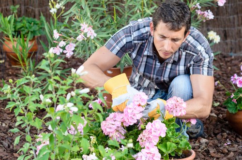 Reusable garden items prepared for charity donation in Rush Green