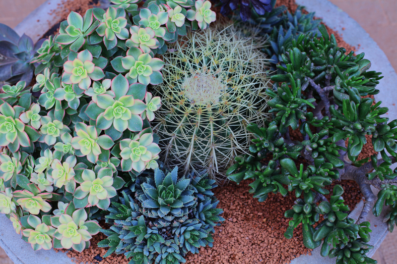 Garden Property
